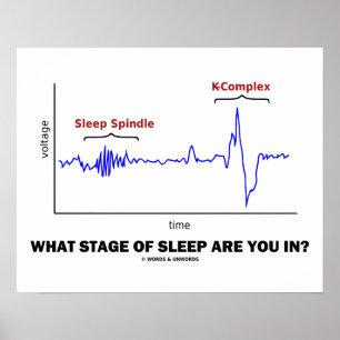 Poster What Stage Of Sleep Are You In?