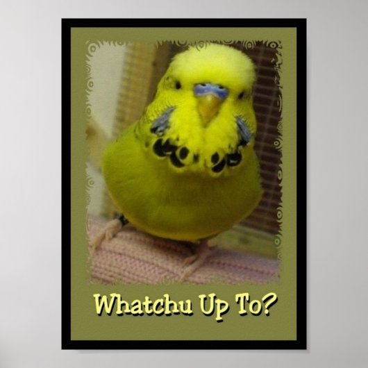 Poster Whatchu Up To 3 (Devant)