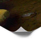 Poster Whatcom Falls (Coin)