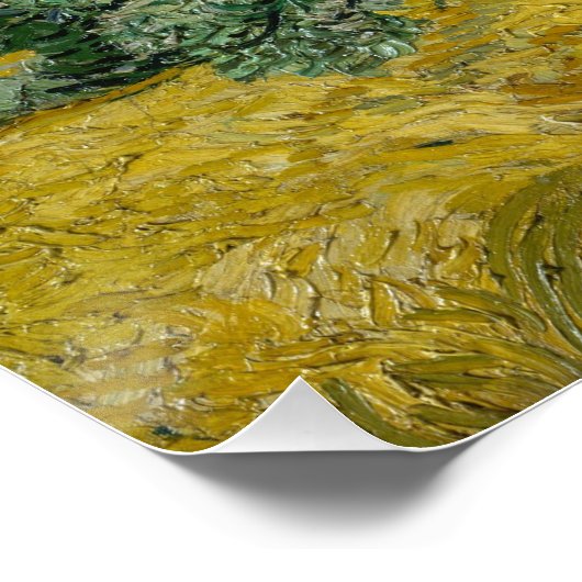 Poster Wheat Field with Cypresses, Oil Painting, Van Gogh (Coin)