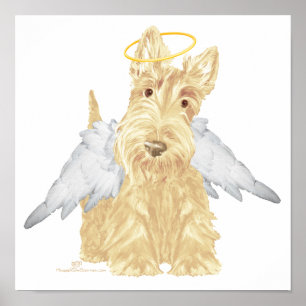 Poster Wheaten Scottie Angel