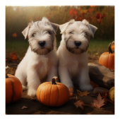Poster Wheaten Terrier chiot Automne Citrouille délice (Devant)