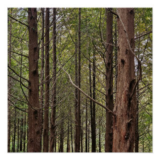 Poster When the going gets tough, the tough get going