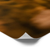 Poster Where Summer Finds Us (Coin)