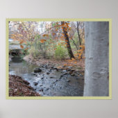 Poster Where the Red Fern Grows (Devant)