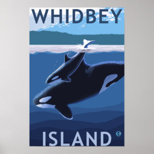 Poster Whidbey Island, Washington Orca et Calf