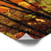 Poster Whimsical Cats (Coin)