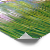 Poster Whippet (blanc-marron) - Lys 2 (Coin)