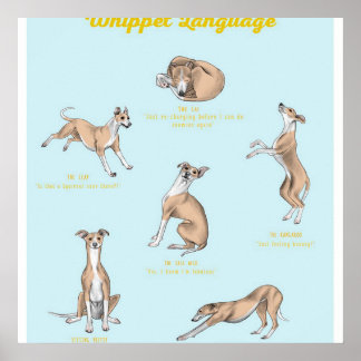 Poster Whippet language | Whippet Canvas