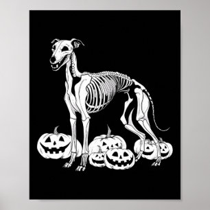 Poster Whippet Skeleton Anniversaire Halloween Chien Homm
