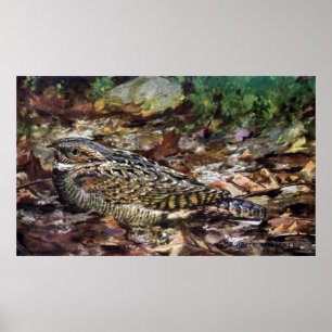 Poster Whippoorwill caché