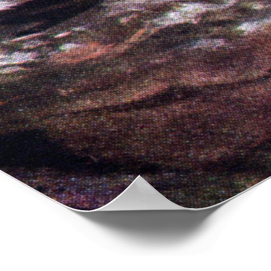 Poster Whipporwill caché (Coin)