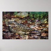 Poster Whipporwill caché (Devant)