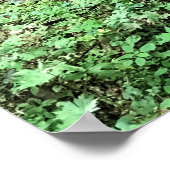 Poster Whiskey Toujours à Mabry Mill, Virginie (Coin)