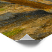 Poster Whispers in the Wild - Tiger and Cub in Forest (Coin)