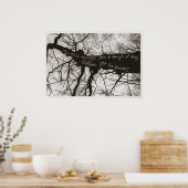 Poster Whispers nature (Cuisine)