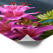 Poster "Whispers of Nature : Hummingbird, Cascade (Coin)