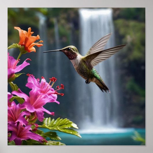 Poster "Whispers of Nature : Hummingbird, Cascade (Devant)