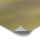 Poster Whispers of the Night : Renard d'Amérique (Coin)