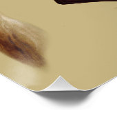 Poster Whistlejacket horse by George Stubbs (Coin)