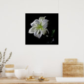 Poster white-82698 blanc fleur de lys nature beauté digit (Cuisine)