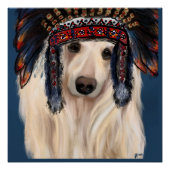 Poster White Afghan Hound (Devant)