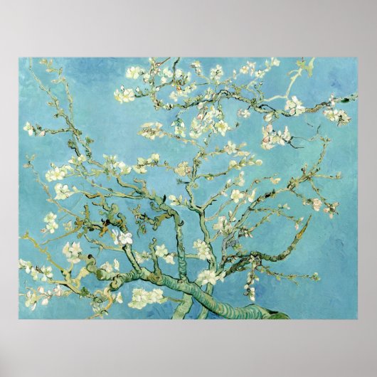 Poster White almond blossom by Vincent Van Gogh (Devant)