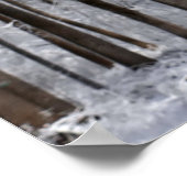 Poster White Amaryllis and Snow I (Coin)