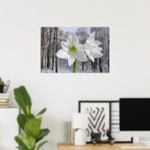 Poster White Amaryllis and Snow I (Bureau à domicile)