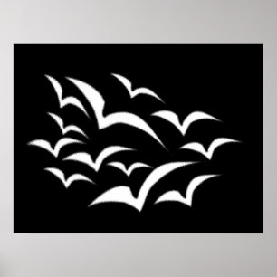Poster White Bat Cloud