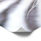 Poster White Bengal Tiger Photographe (Coin)