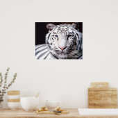 Poster White Bengal Tiger Photographe (Cuisine)