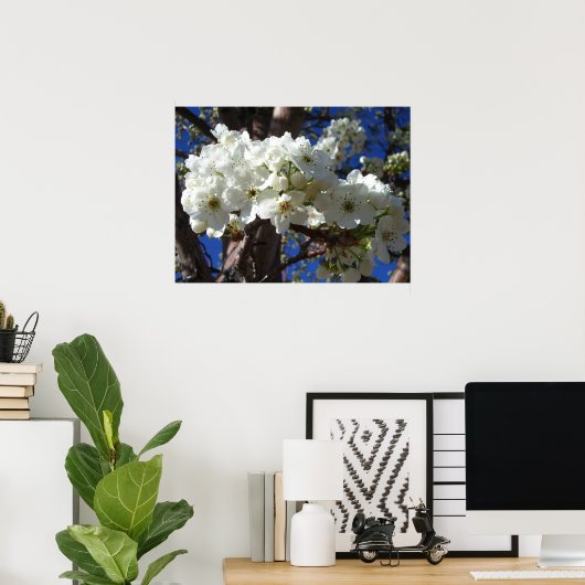 Poster White Blossoms II (Bureau à domicile)