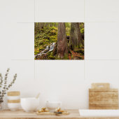 Poster White Branch Falls, Oregon Cascades, Oregon (Cuisine)