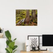 Poster White Branch Falls, Oregon Cascades, Oregon (Bureau à domicile)