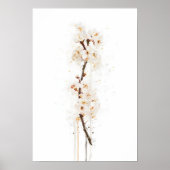 Poster White Cherry Blossom (Devant)