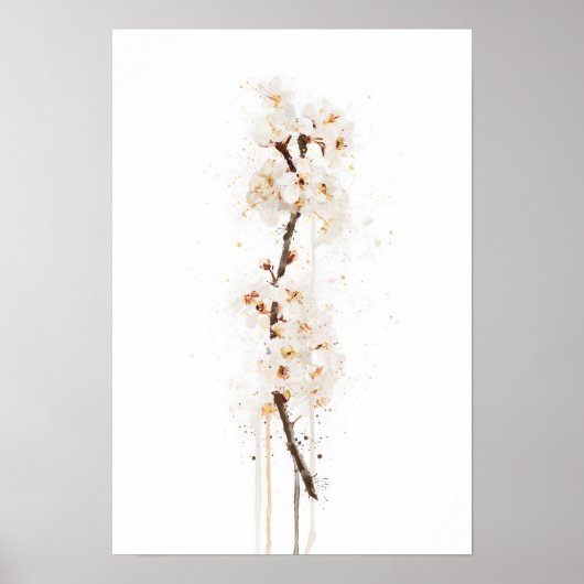 Poster White Cherry Blossom (Devant)