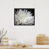Poster White Chrysanthemum Flower Mums Flowers Photo (Cuisine)