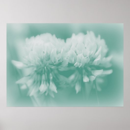 Poster White CLover Wildflower in Aqua (Devant)