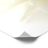 Poster White Dahlia (Coin)