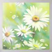 Poster White Daisies (Devant)