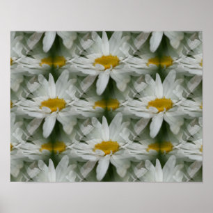 Poster White Daisy Raindrops Fleur Abstrait