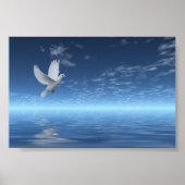Poster White Dove (Devant)