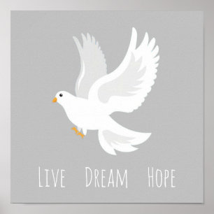 Poster White dove bird on grey