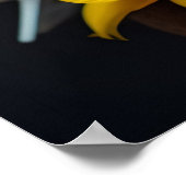 Poster - White Dove Fleurs Jaunes Paix (Coin)