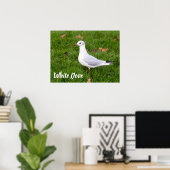 Poster White Dove for bird and Pigeon lover cadeau (Bureau à domicile)