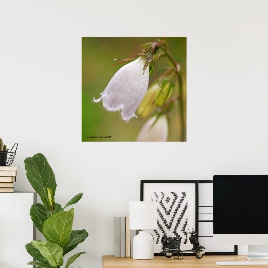 Poster White Harebell (Bureau à domicile)