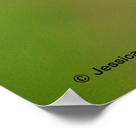 Poster White Harebell (Coin)