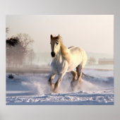 Poster White Horse Galloping (Devant)