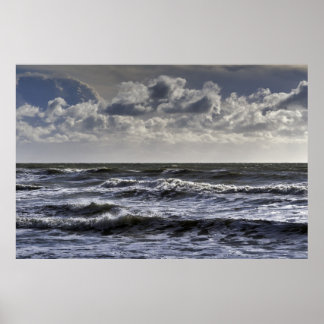 Poster White horses: seascape